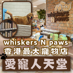 愛寵人天堂！據說whiskers n paws是香港最大寵物店